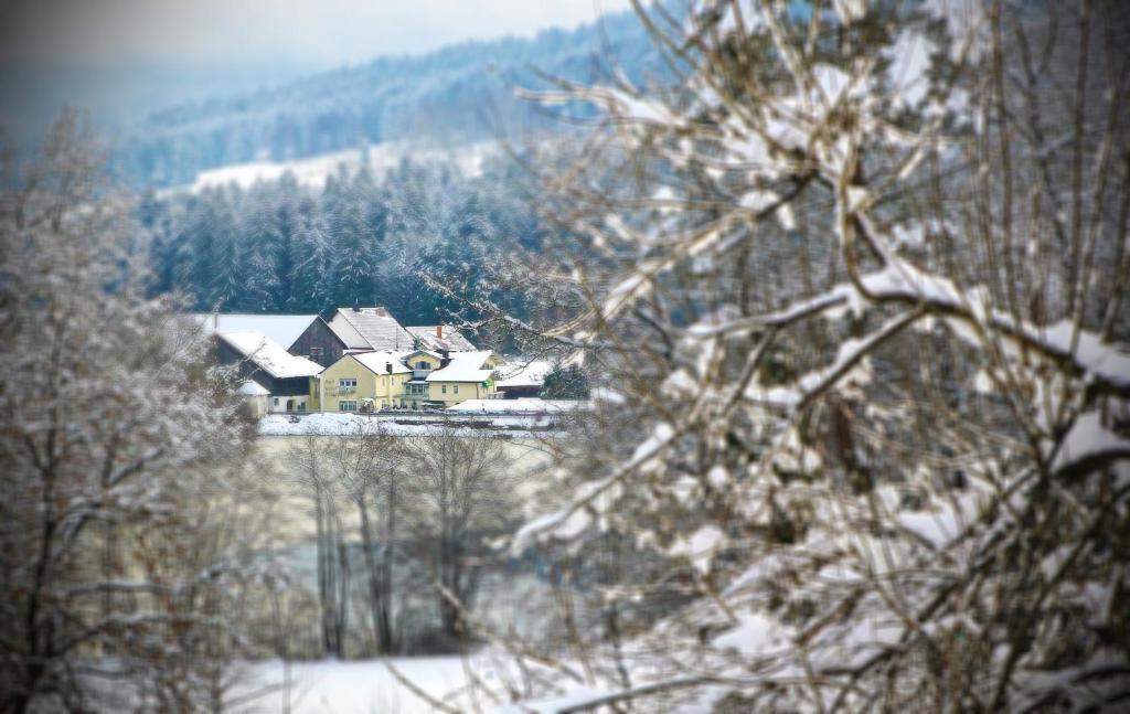 Hotel Der Seehof Гауценберг Екстер'єр фото